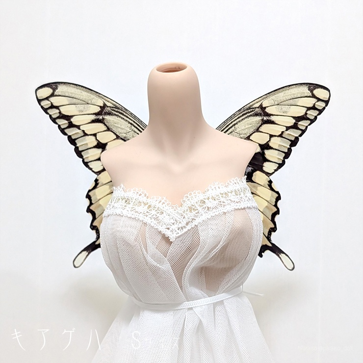 蝶の羽根 キアゲハ S+/M/L