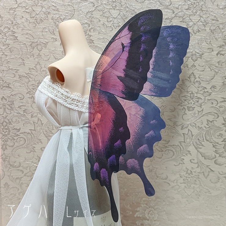 蝶の羽根 アゲハ系 M+/L