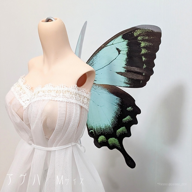 蝶の羽根　アゲハ系 M+/L