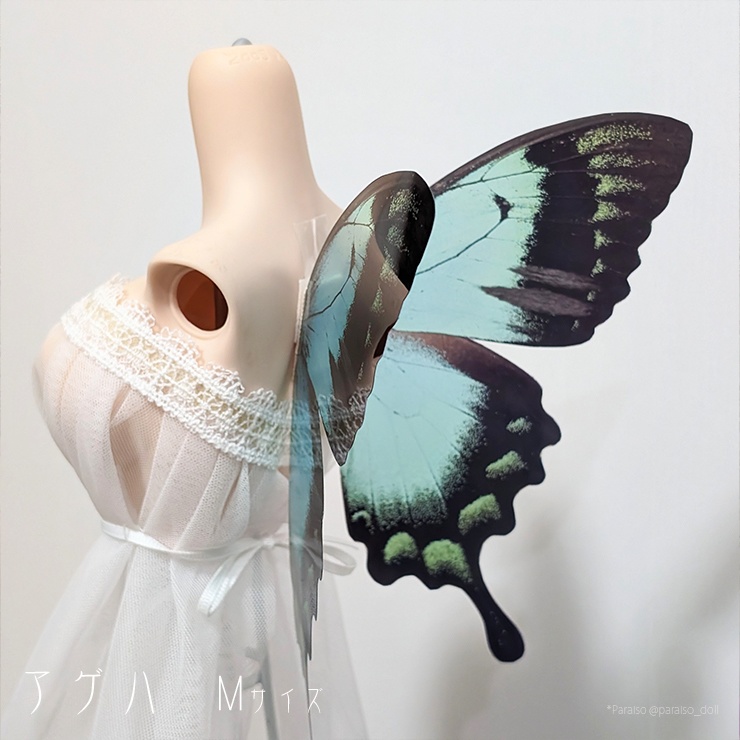 蝶の羽根 アゲハ系 M+/L