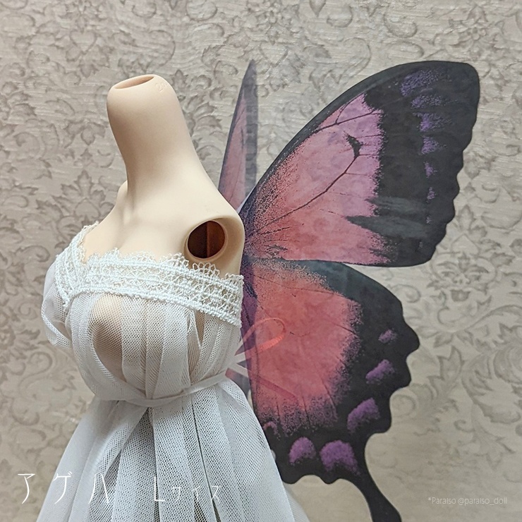 蝶の羽根 アゲハ系 M+/L