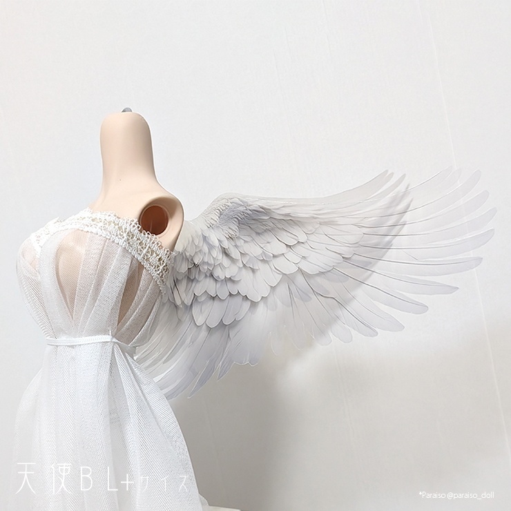 天使の翼 S/M+/L+