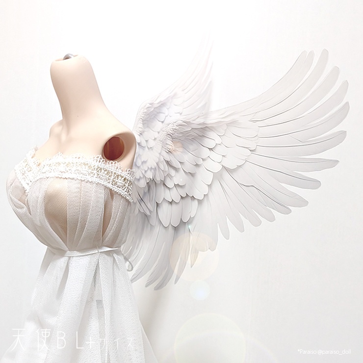 天使の翼 S/M+/L+