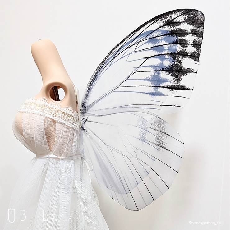 蝶の羽根 白系B S+/M/L