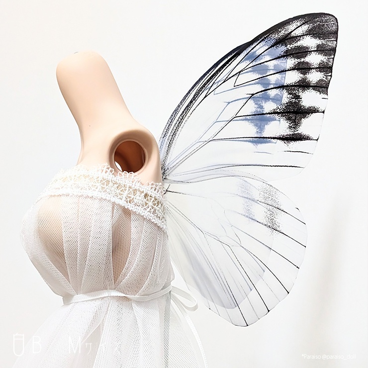 蝶の羽根 白系B S+/M/L