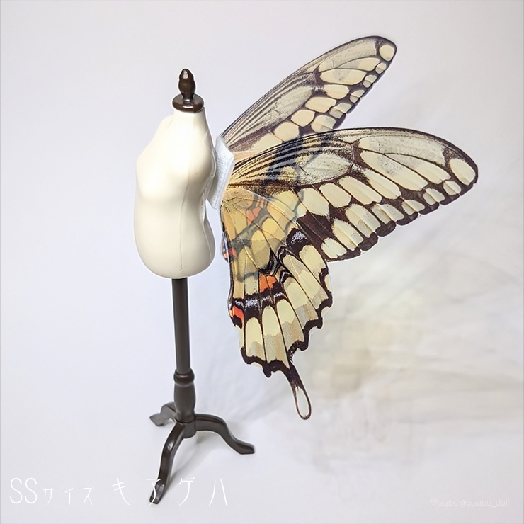 蝶の羽根 SSサイズ