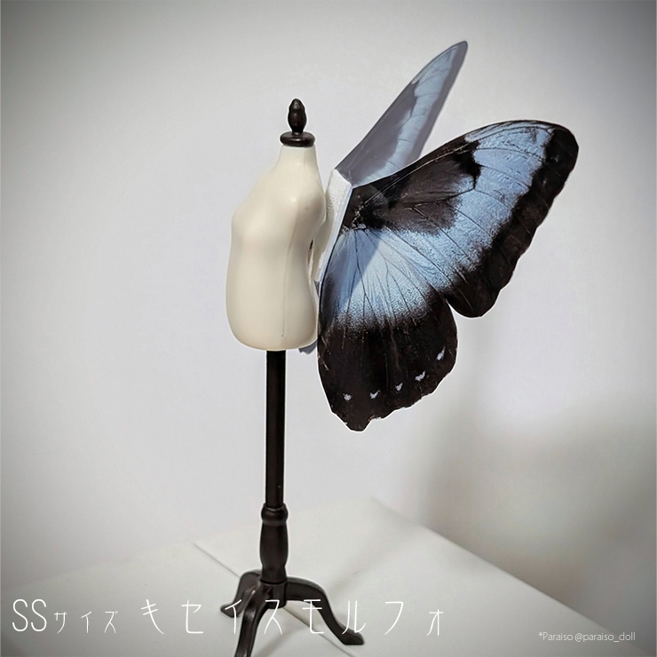 蝶の羽根 SSサイズ