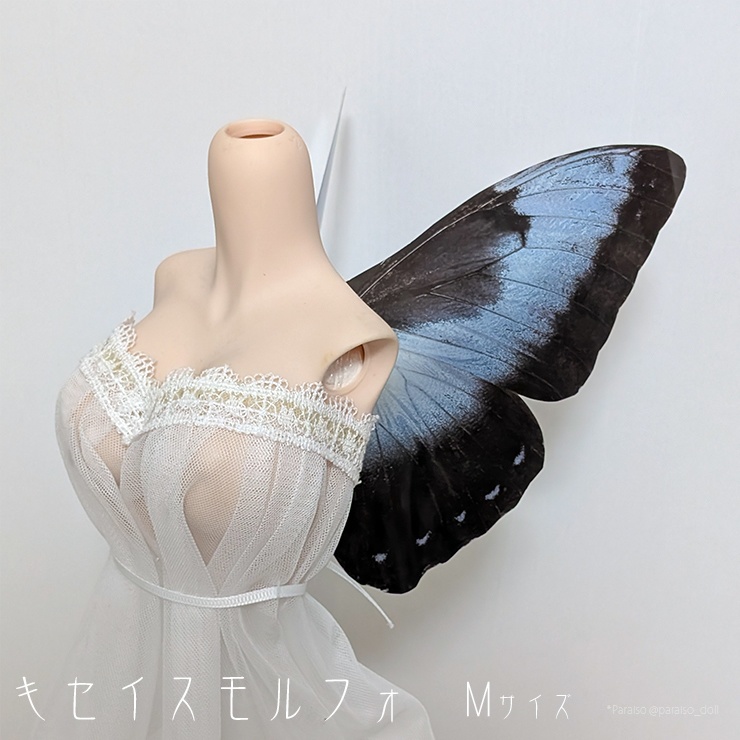 キセイスモルフォ S+/M/L