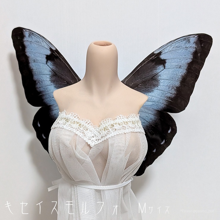 キセイスモルフォ S+/M/L