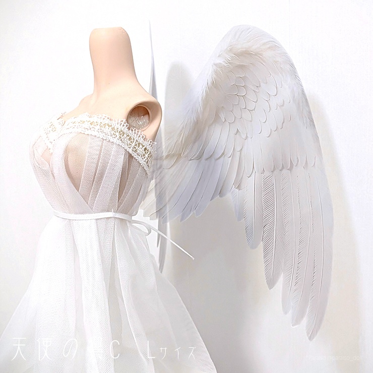 天使の翼C<白> S/S+/M/L