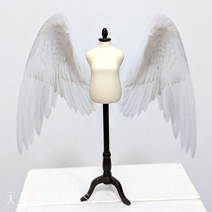 天使の翼C<白> S/S+/M/L