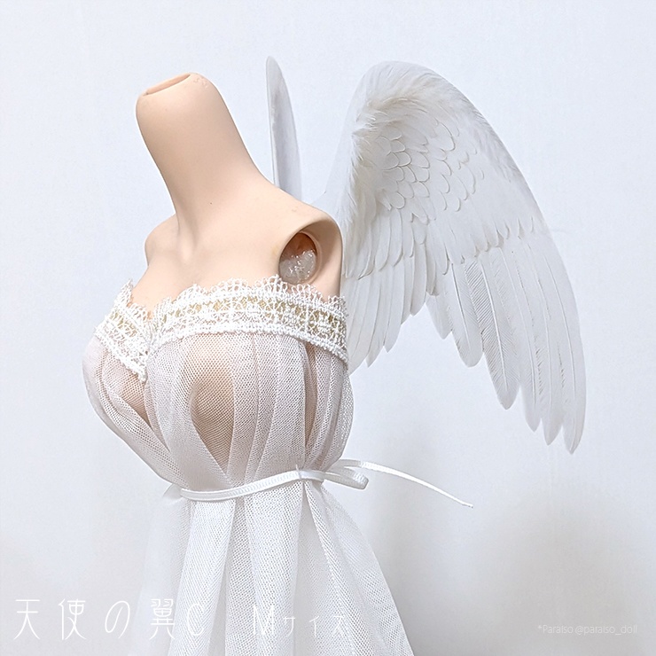 天使の翼C<白> S/S+/M/L