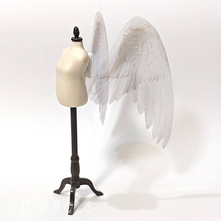 天使の翼C<白> S/S+/M/L