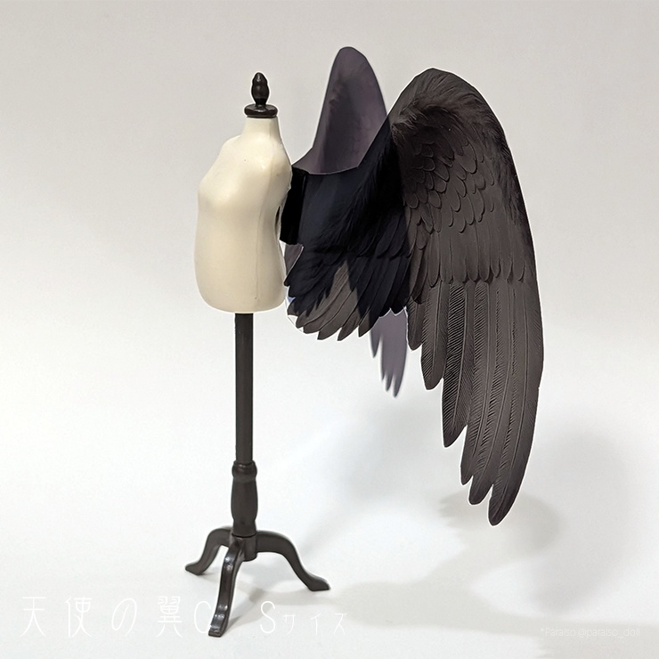 天使の翼C<黒> S/S+/M/L