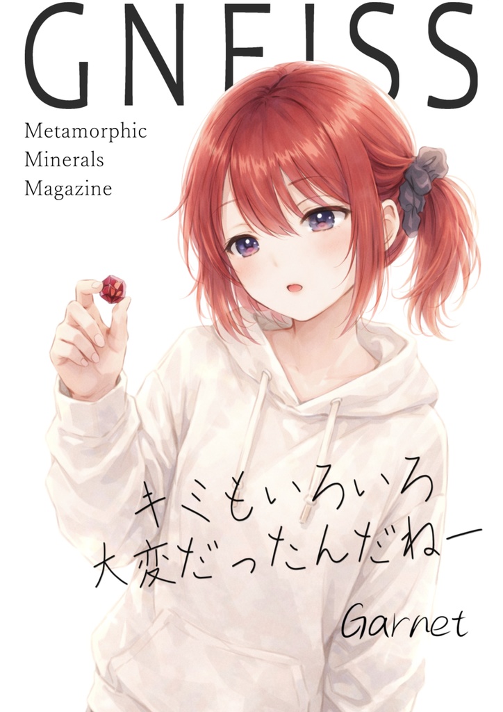 GNEISS｜ザクロ石