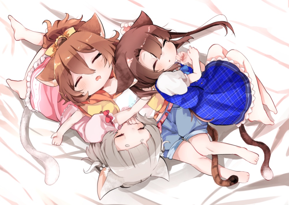 マチポケにゃんこといっしょにおひるねブランケット