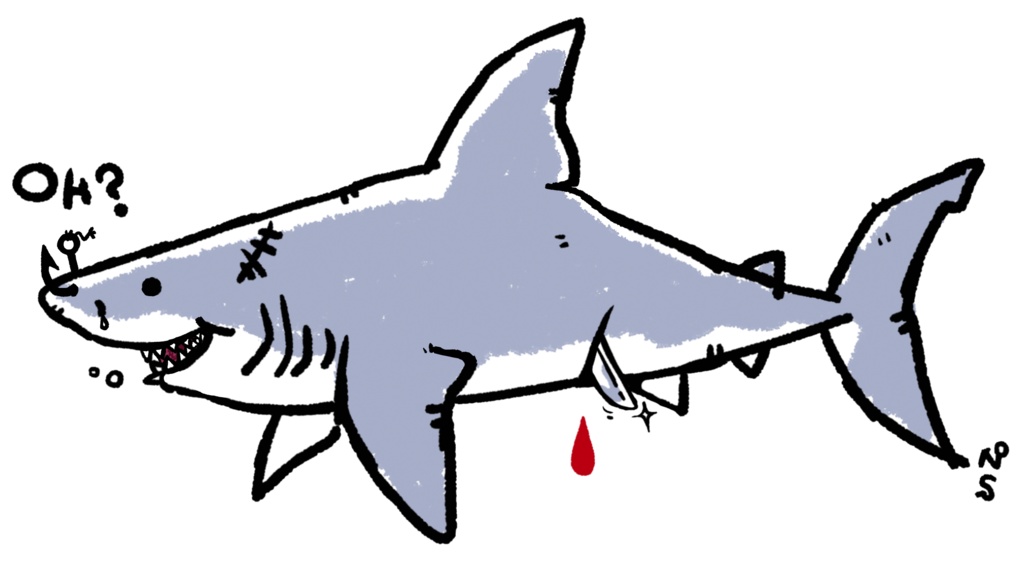 サメのホオジロー(スーパー)