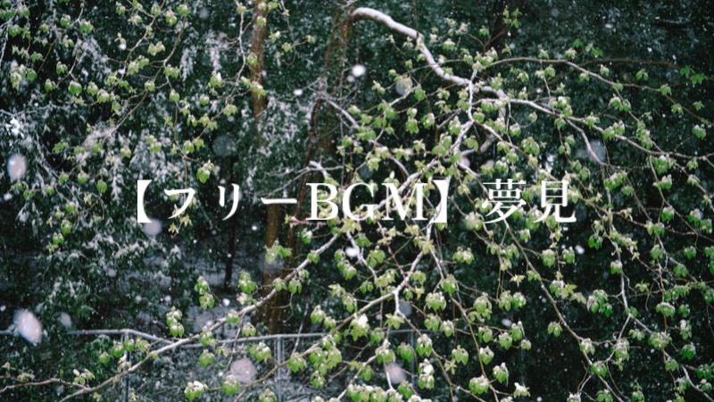 【フリーBGM】夢見/Charme