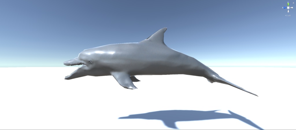 イルカ 3Dモデル(fbx、blendファイル、アニメーション無し)