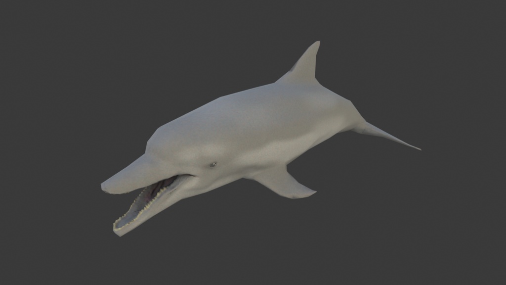 イルカ 3Dモデル(fbx、blendファイル、アニメーション無し)
