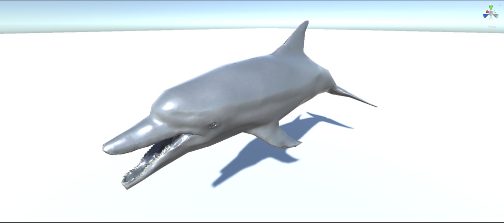 イルカ 3Dモデル(fbx、blendファイル、アニメーション無し)