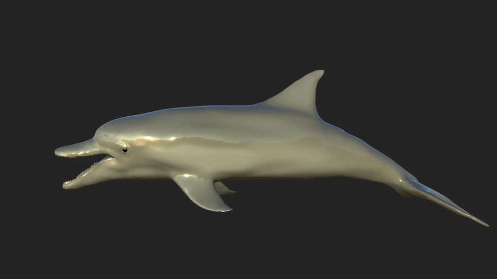 イルカ 3Dモデル(fbx、blendファイル、アニメーション無し)