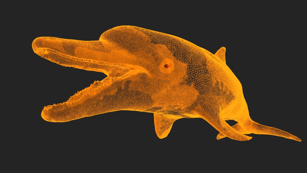 イルカ 3Dモデル(fbx、blendファイル、アニメーション無し)