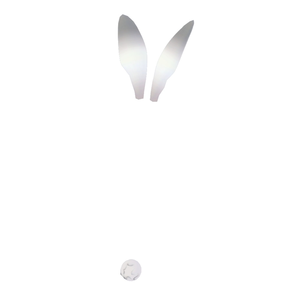 うさ耳&うさしっぽ