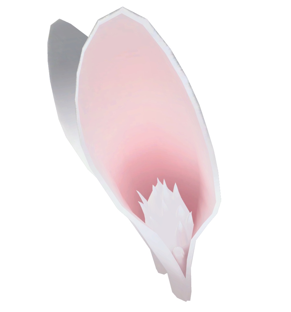 うさ耳&うさしっぽ