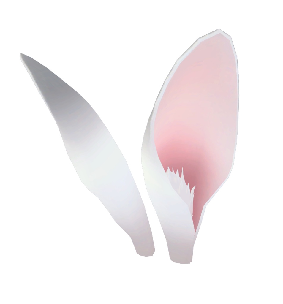 うさ耳&うさしっぽ