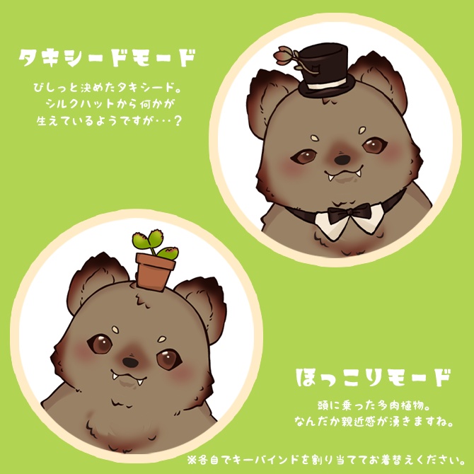 【汎用モデル】くまちゃんになりたい多肉テディベア【VTS対応】