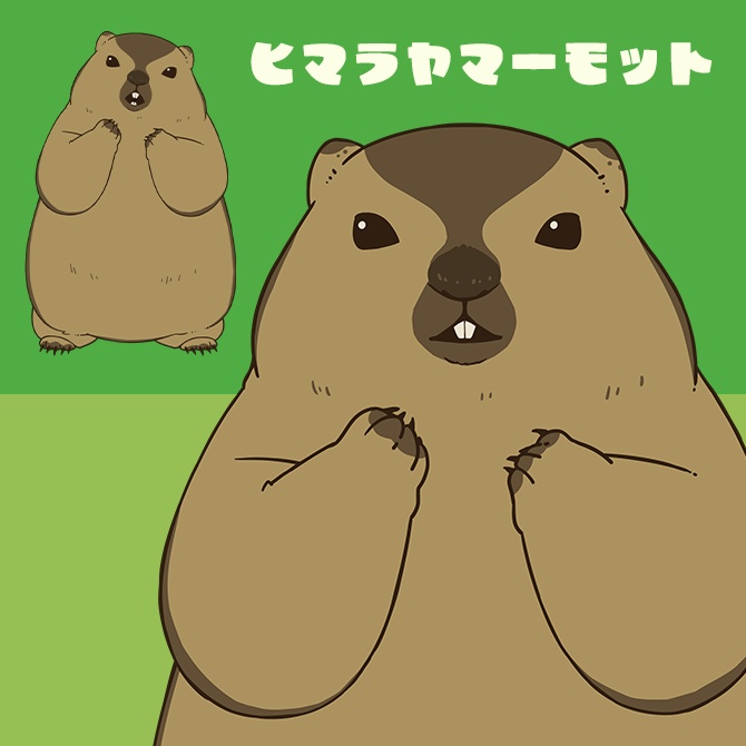 【汎用モデル】ヒマラヤマーモット