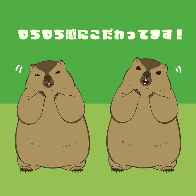 【汎用モデル】ヒマラヤマーモット