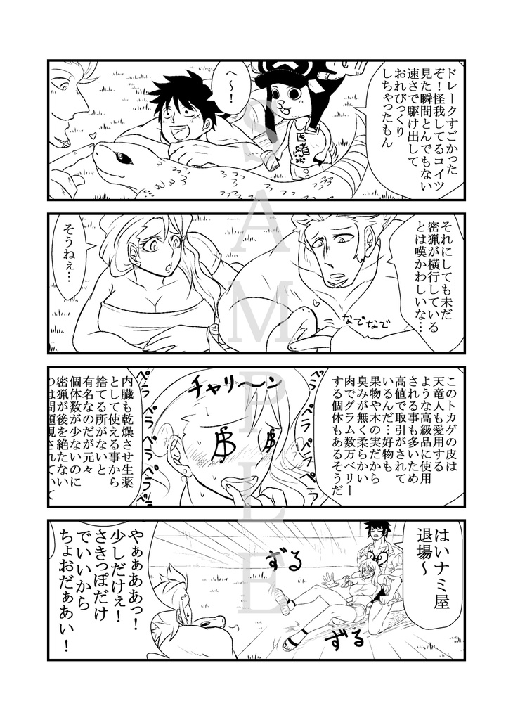 ワンピース ナミ 怪我 小説