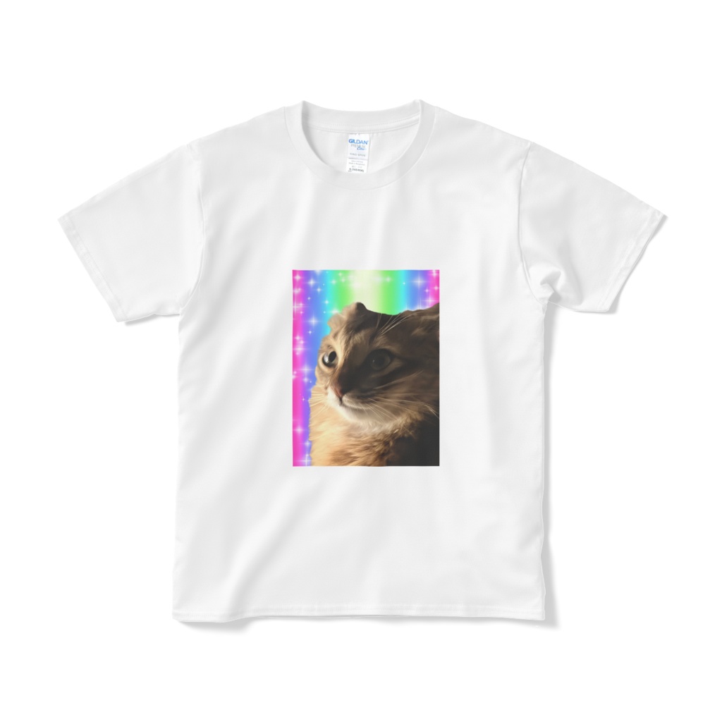 ヘヴン猫