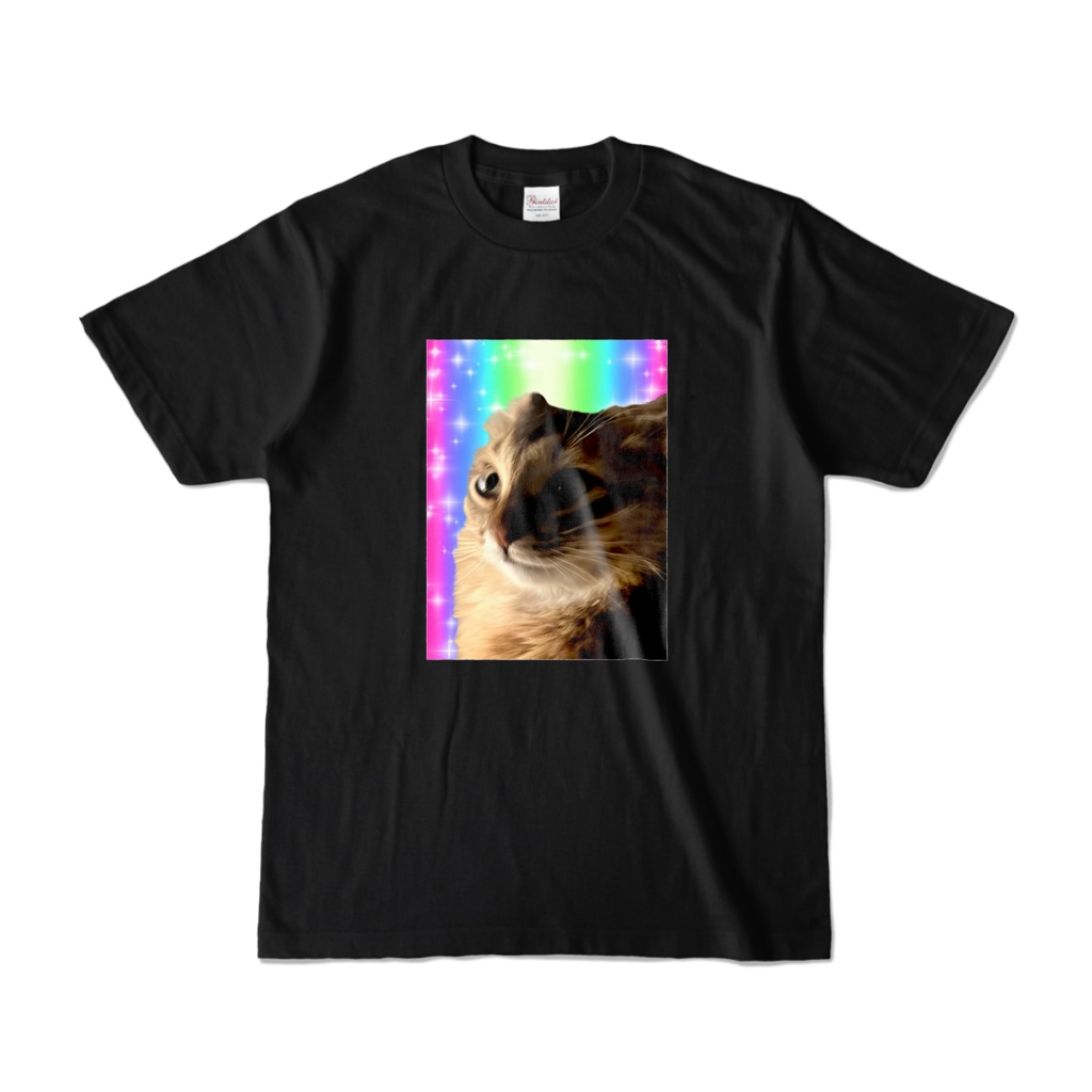 ダークヘヴン猫