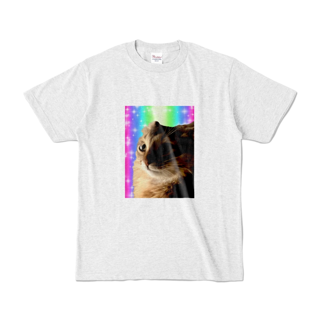 グレーヘヴン猫
