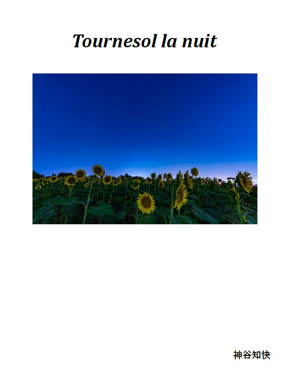 Tournesol la nuit