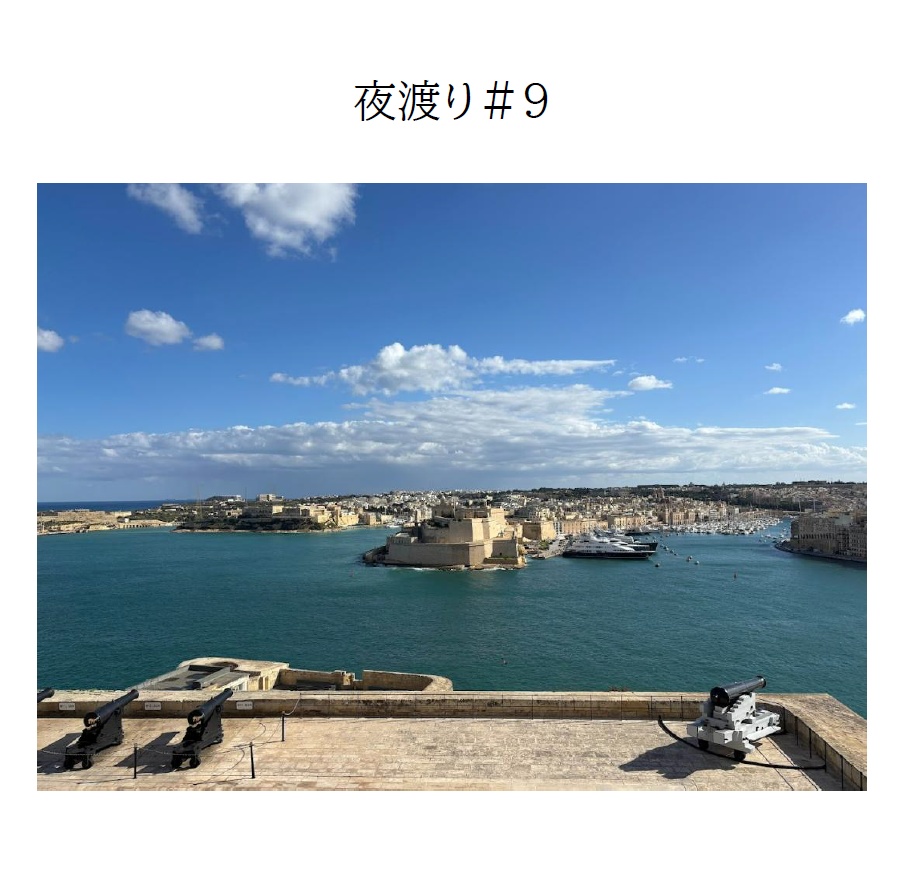 夜渡り#9【スプシつき】