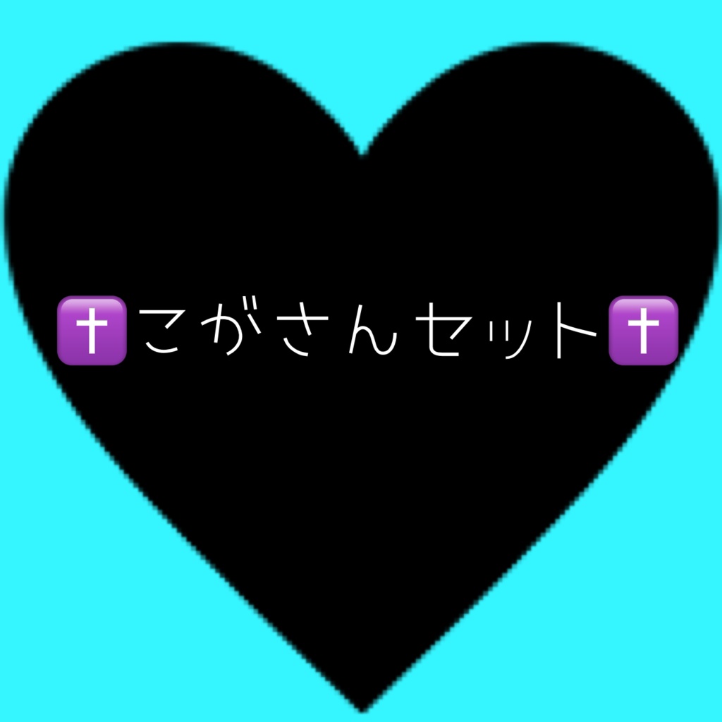 ✝️こがさんセット✝️