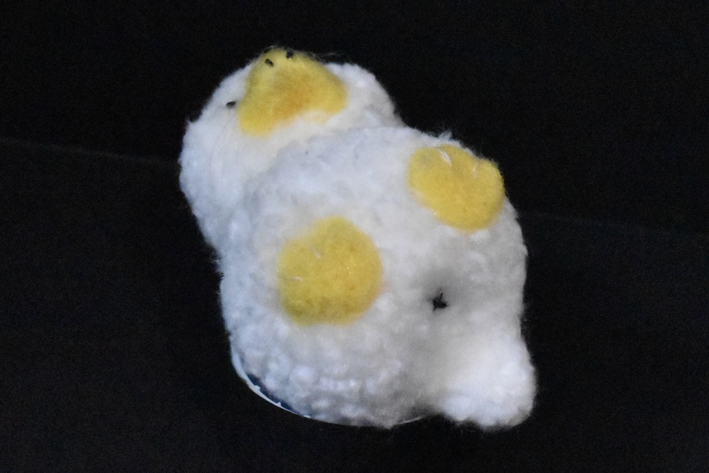 あきらめアヒル