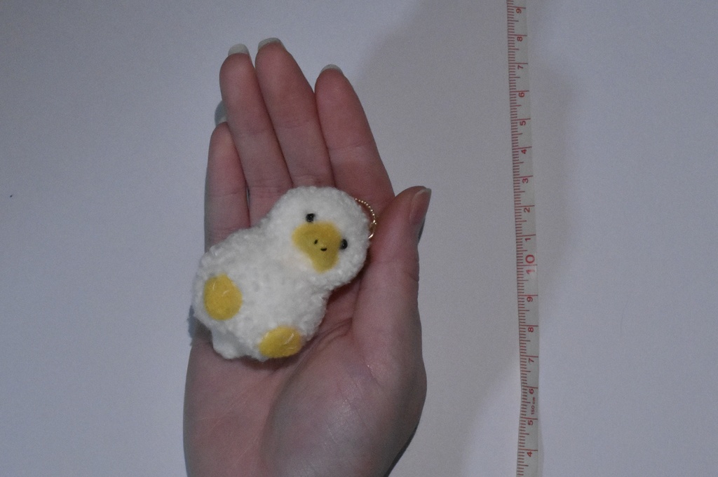 あきらめアヒル