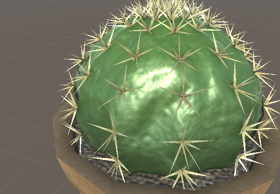 サボテン(エキノカクタス属)(EchinoCactus)