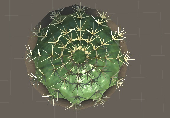 サボテン(エキノカクタス属)(EchinoCactus)
