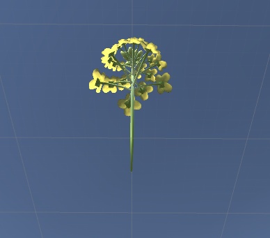 かんざし(菜の花) (Kanzashi_Nanohana)