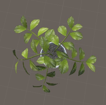 観葉植物(HousePlants)