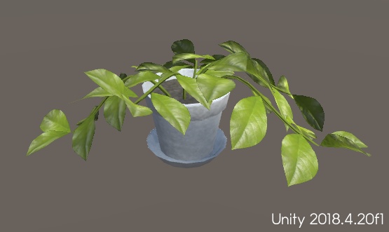 観葉植物(HousePlants)