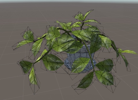 観葉植物(HousePlants)