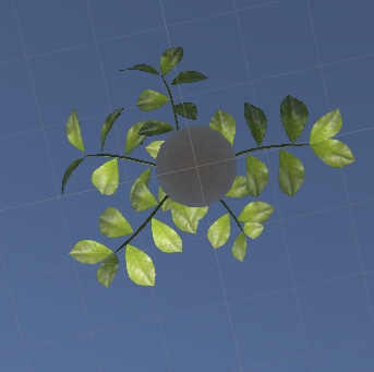 観葉植物(HousePlants)