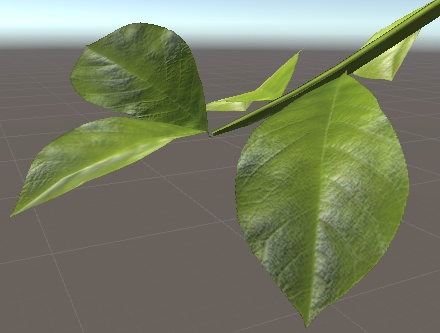 観葉植物(HousePlants)